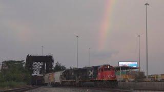 Railfanning The CN/IC At Bridgeport Junction, Chicago, IL. 8/05/23