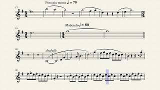 Dumbledore's Army (Harry Potter) Flute Sheet Music Playalong