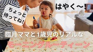 【Japanese mom in Switzerland】Morning Routine with my one year old boy