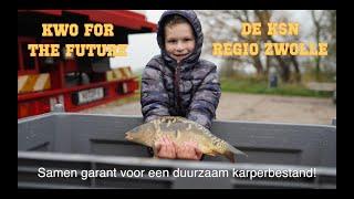 Spiegelkarper project, samen garant voor een duurzaam karperbestand! KWO For The Future