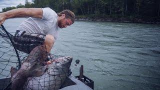 Giant 60 Pound King Salmon Almost Knocks Guy in Water