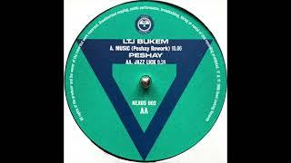 LTJ Bukem - Music (Peshay Rework) [1996]