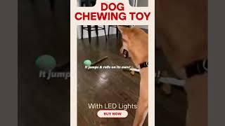 Cheerble Intelligent Interactive Dog Toy Ball with LED Lights #shorts #doglover #pettoys