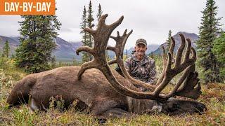 HUGE Velvet Caribou! | NWT Caribou and Sheep Day-by-Day (EP.7)