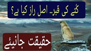 Mystererious Place In Pakistan | Kutte Ki Qabar | Tareekh Ki Talash