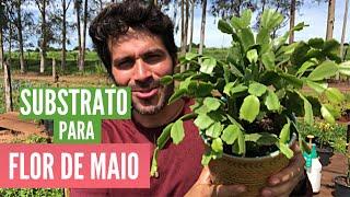 Flor de Maio - Substrato Simples para o Cultivo