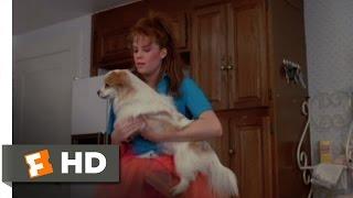 Teen Witch (6/12) Movie CLIP - Richie the Dog (1989) HD