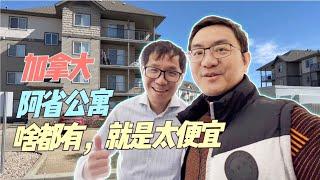 阿尔伯塔省会，埃德蒙顿，新装修，新家电，步行5分钟到公交和地铁枢纽，80平米的实用面积，两室两卫，你猜猜多少钱？