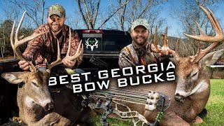 Waddell's Top 3 Georgia Bow Bucks! Best of Bone Collector