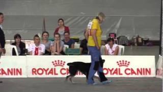 World Championship Obedience Maria Brandel part 2