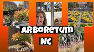 The NC Arboretum Surrounded by the Appalachian Mountains, Bonsai Exhibition, Quilt Garden