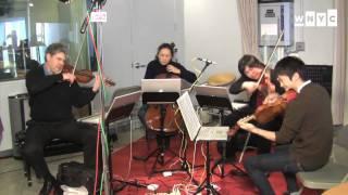 The Borromeo Quartet