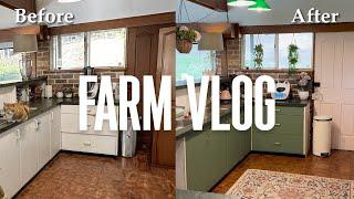 Kitchen Transformation | My Life Vlog as a Veteran with Lots of Dogs - Dog Farm Australia