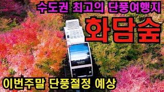 강추 가을단풍 최고의 여행지 경기 광주 화담숲 걷기/4K HDR/Hwadam Forest/ Best fall foliage travel destination