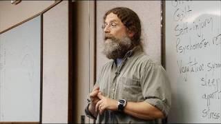 Stanford's Sapolsky on depression and its origin (video clip)