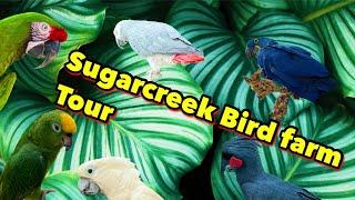 Sugar creek Bird farm tour