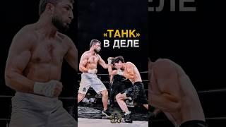 МОЩНОЕ ВОЗВРАЩЕНИЕ «ТАНКА»! КЕРИМОВ VS ШИХИЕВ #GFC #кулачныебои #кулачка #rcc #mma #бой #боец