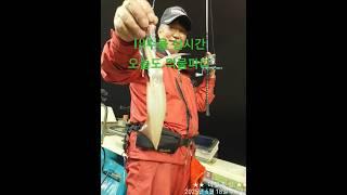 진해더블피싱 9.77톤 먼바다 루어전용선 한치 낚시 예약 010-6668-1782 #진해더블피싱 #한치이카메탈 #한치오모리 #갈치지깅 #갈치텐야 #갈치텐빈 #참돔타이라바 #무늬팁런