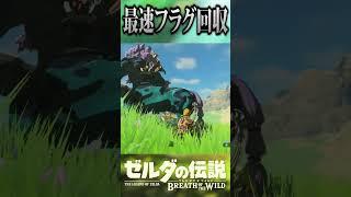 世界一フラグ回収が早い男【ゼルダの伝説　ブレス オブ ザ ワイルド】