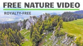 15+ Beautiful Nature Stock Footage Royalty Free, No Copyright, Free Download #royaltyfree #nature