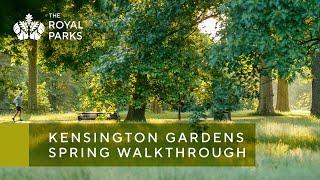 Kensington Gardens in London spring walkthrough | The Royal Parks