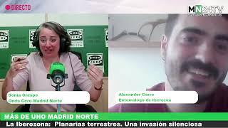 La Iberozona: Planarias terrestres Una invasión silenciosa