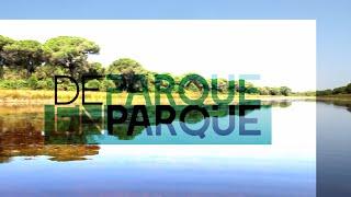 Doñana - De Parque en Parque | La2