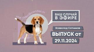 Ваш случай в эфире. Выпуск от 29.11.2024