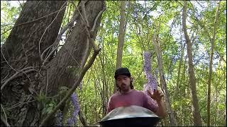 naturaleza handpan y pájaros #nature #meditation #relaxing