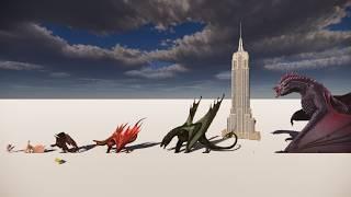 "Dragon House" dragons size comparison