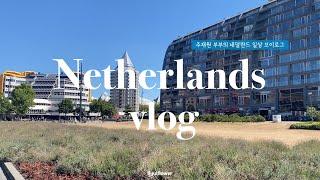 네덜란드 일상 vlog | 분갈이, 블락마켓 식물사기, 로어몬드 아울렛 구경, 데카트론, 결기 보내기(ep.9)