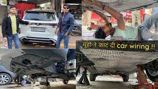 How to Avoid Rat  In Car | 12,000 का नुकसान हो गया !! | Suzuki Grand Vitara Engine Wiring Cut