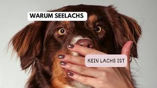 WARUM SEELACHS KEIN LACHS IST!