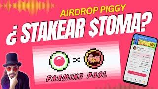 ¿Stakear $TOMA? ¿Es rentable el farming pool de TOMARKET? Piggy Airdrop