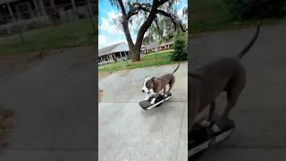 Greyson’s control of the Onewheel is  #onewheel