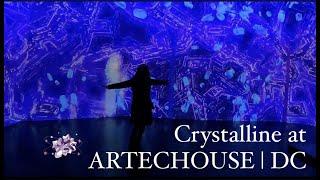 After Christmas Shopping at the Outlet || Crystalline at ARTECHOUSE DC