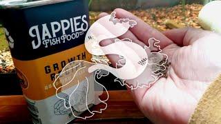 Jappies Growth Formula: Fish Food Review