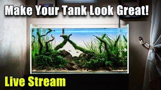 [LIVE]  Simple Steps to Making a Great Looking Aquarium!  Plus FIsh Q&A and a Giveaway!