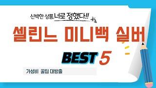 가성비 인기있는 셀린느 미니백 실버 추천 후기 TOP5