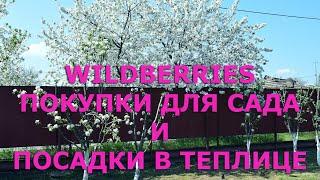 Полезные покупки для сада и огорода на WILDBERRIES