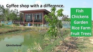 A very unique coffee shop in rural Thailand, hobby farm selling coffee.