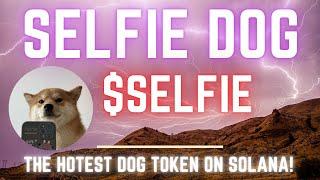 Selfie Dog | The Most Photogenic Dog on Solana! $SELFIE