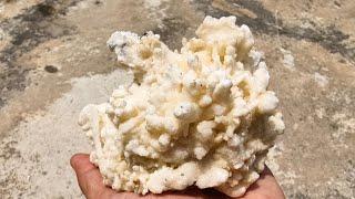 钟乳石方解石共生矿 | Stalactite Calcite Symbiosis