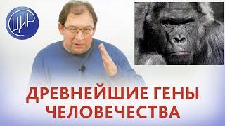 HLA и репродукция. Анцестральные гаплотипы. Самые древние гены человечества.