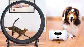 Amazing Pet Toys That Are on Another Level