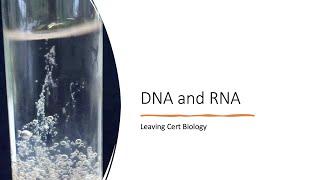 DNA & RNA-Revision Summary-Leaving Cert Biology