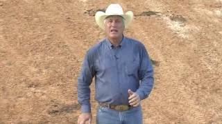 Steer Wrestling 101: Part 2 of Training your Bulldogging Horse