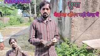 आँगन बड़ी केन्द्र में छुपा बेटा था एक मोनिटर लिजार्ड dk panchal | snake rescue |animal rescue etc