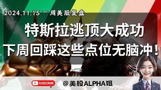 【美股Alpha姐】2024.11.15 一周美股复盘｜特斯拉逃顶成功，支撑位又被拉起，下周遇到这些点位要无脑冲！？｜美股熊出没，这次回调会有多深？圣诞Rally还会来吗？