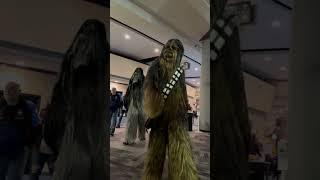 Walking with the Wookies! #starwars #disney #chewbacca #501stlegion